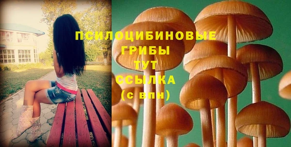 дмт Краснослободск