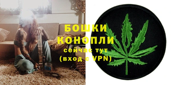 гашик Коряжма