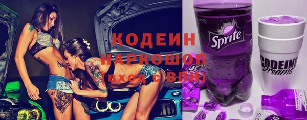 дмт Краснослободск