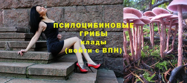 кокс Костерёво