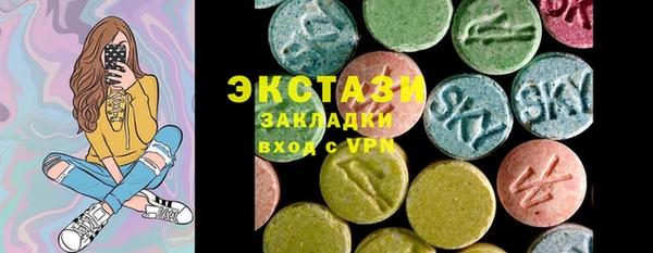дмт Краснослободск