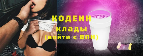 гашик Коряжма
