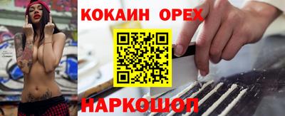 амф Камышлов