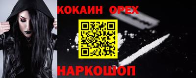 Альфа ПВП Кандалакша