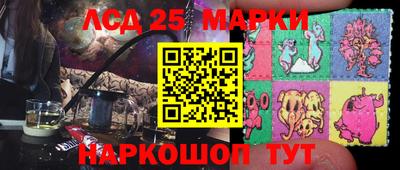 Альфа ПВП Кандалакша