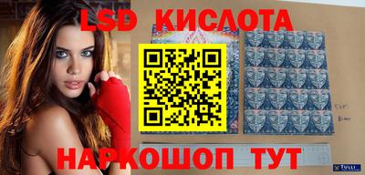 амф Камышлов
