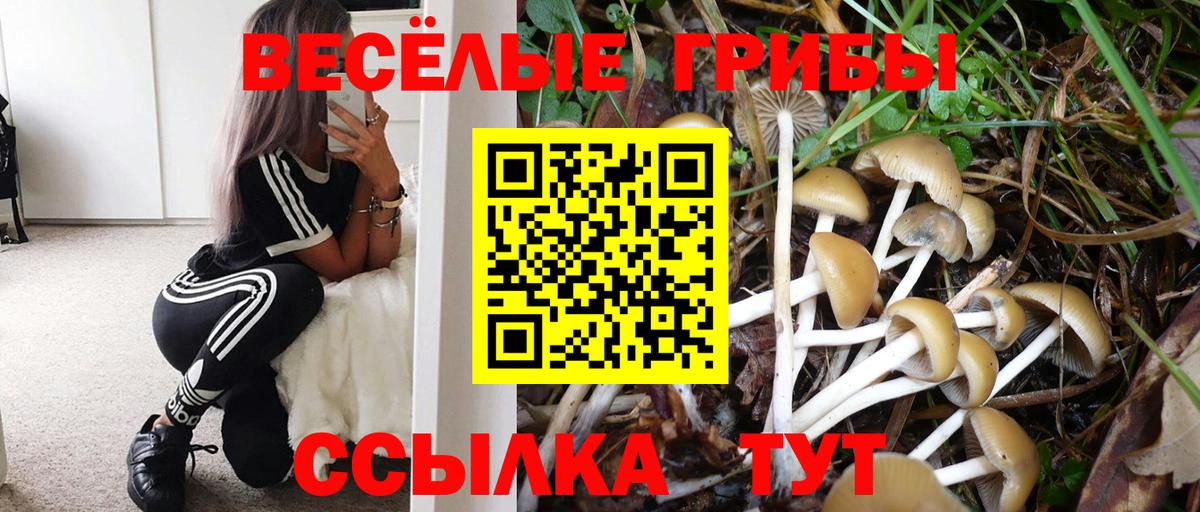 Октябрьский  Псилоцибиновые грибы Magic Shrooms  Галлюциногенные грибы прущие грибы  Вход с VPN 