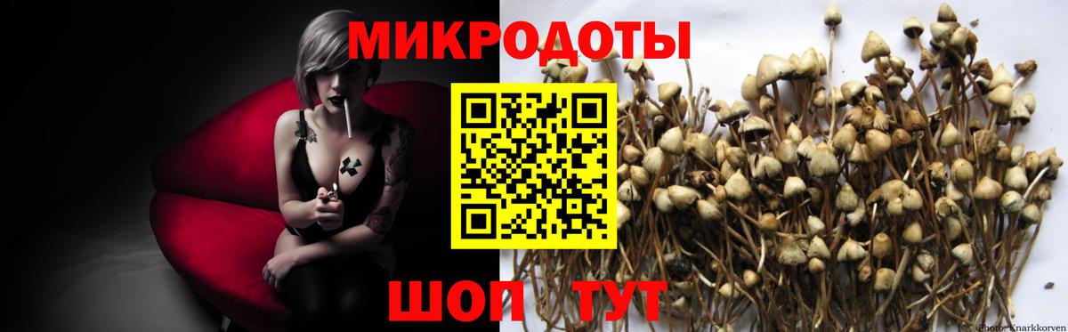 Галлюциногенные грибы Magic Shrooms Октябрьский
